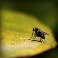 /album/kugucci/photolia-a07-jpg/